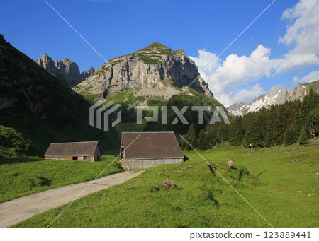 Saxer First, mountain in Appenzell Canton, Switzerland Saxer First, mountain in Appenzell Canton, Switzerland 123889441