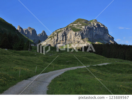 Summer morning in the mountains of Appenzell, Switzerland. 123889567
