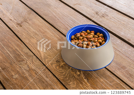 Feeder for dogs Feeder for dogs 123889745