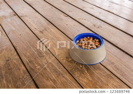 Feeder for dogs Feeder for dogs 123889746