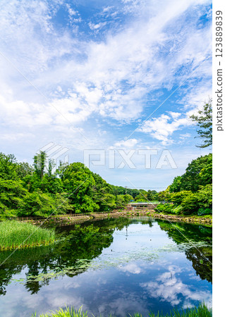 【神奈川縣】大自然豐富的大和市和泉森 【神奈川縣】大自然豐富的大和市和泉森 123889839