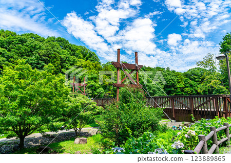 [Kanagawa Prefecture] The Green Bridge of Izuminomori in Yamato City 123889865