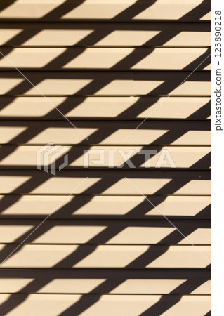 A game of shadows 123890218