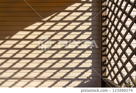 A game of shadows A game of shadows 123890274