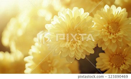 黃色花朵背景素材（生成式 AI） 123890469
