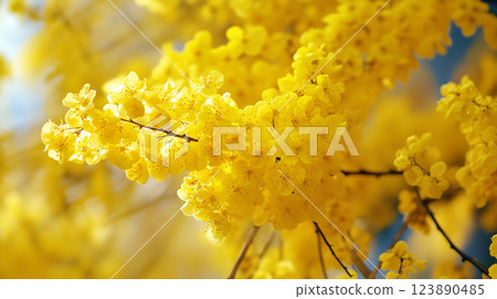 Yellow flower background material (Generative AI) 123890485