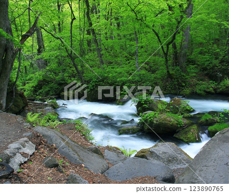 Oirase Stream Aomori Prefecture Oirase Stream Aomori Prefecture 123890765