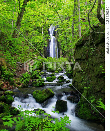 青森縣奧入瀨溪 青森縣奧入瀨溪 123890894