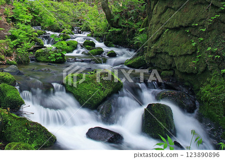 青森縣奧入瀨溪 123890896