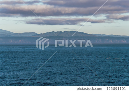 【向日葵富良野,岩手縣海岸向北行駛】 【向日葵富良野,岩手縣海岸向北行駛】 123891101