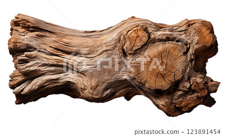 Driftwood 123891454