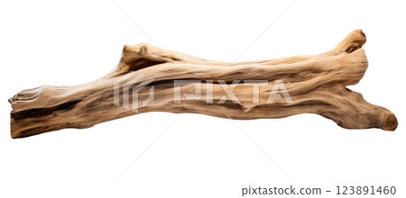 Old Dry Tree Trunk 123891460