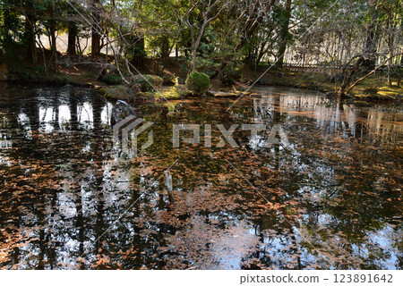 板敷山大覺寺 #91 123891642