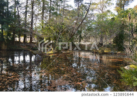 Itajikiyama Daikakuji Temple #93 Itajikiyama Daikakuji Temple #93 123891644