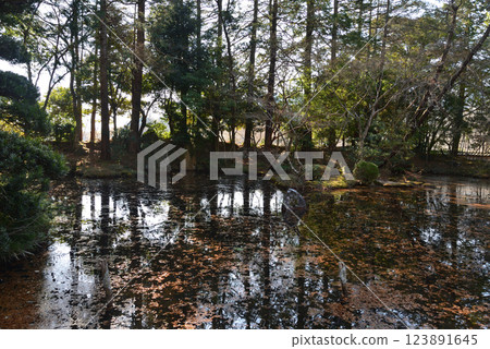 Itajikiyama Daikakuji Temple #94 Itajikiyama Daikakuji Temple #94 123891645