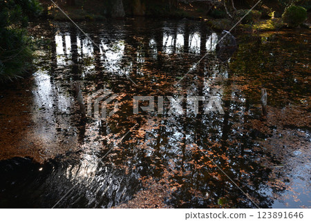 Itajikiyama Daikakuji Temple #95 Itajikiyama Daikakuji Temple #95 123891646