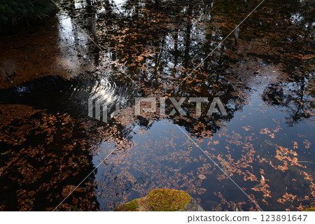 Itajikiyama Daikakuji Temple #96 Itajikiyama Daikakuji Temple #96 123891647