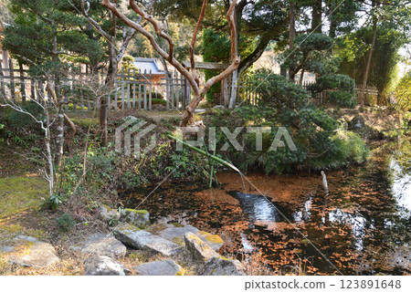 Itajikiyama Daikakuji Temple #97 Itajikiyama Daikakuji Temple #97 123891648