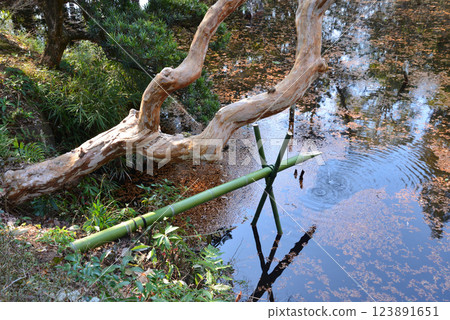 Itajikiyama Daikakuji Temple #100 Itajikiyama Daikakuji Temple #100 123891651
