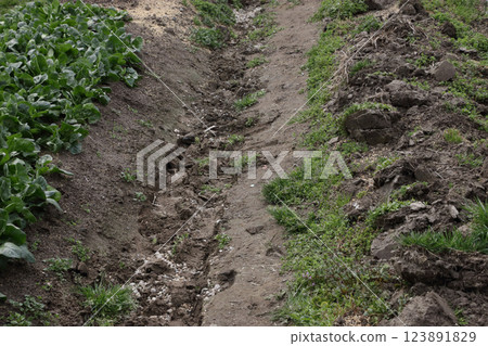 田間涵洞排水管道施工 田間涵洞排水管道施工 123891829
