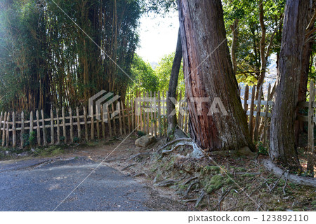 Itajikiyama Daikakuji Temple #103 Itajikiyama Daikakuji Temple #103 123892110