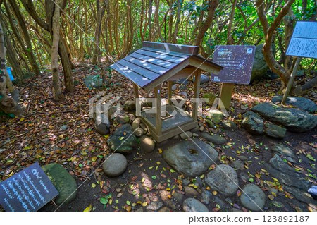 Kochi Prefecture, Cape Ashizuri Promenade's Seven Wonders (Hell's Hole) Kochi Prefecture, Cape Ashizuri Promenade's Seven Wonders (Hell's Hole) 123892187