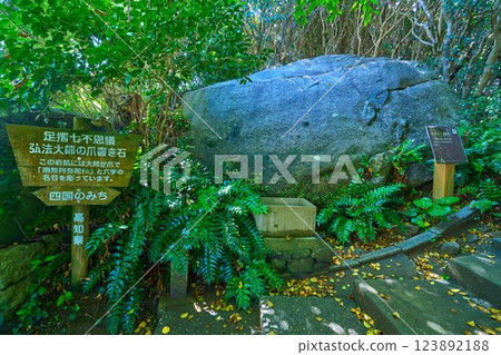 Seven Wonders Spot on the Promenade at Cape Ashizuri, Kochi Prefecture (Kobo Daishi's Claw-Written Stone) 123892188