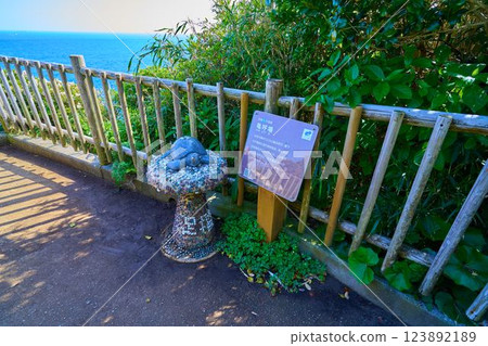 Kochi Prefecture Cape Ashizuri Promenade's Seven Wonders Spot (Kamekoba) 123892189