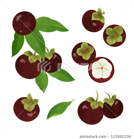 手繪插畫/山竹 123892236