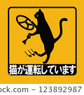 A cat is driving_MT (with face) 123892987
