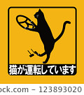 A cat is driving_AT (with face) 123893020