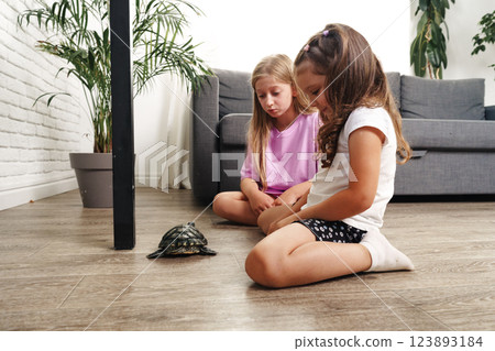 Two girls interact with a turtle on the floor in a cozy modern living room during a sunny afternoon 123893184
