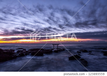 Dawn at Oarai Coast [Scenery with a Torii Gate] 123893559