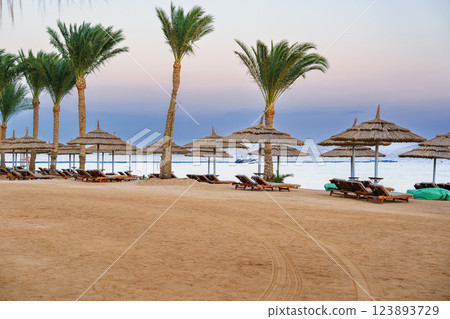Relaxing beach setting with palm trees, sun loungers, and thatched umbrellas at twilight near the water Relaxing beach setting with palm trees, sun loungers, and thatched umbrellas at twilight near the water 123893729