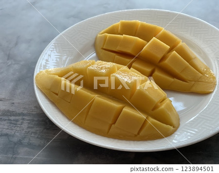 Mango Mango 123894501