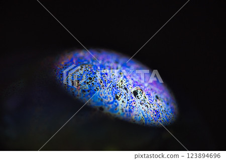 神秘的創意空間 123894696