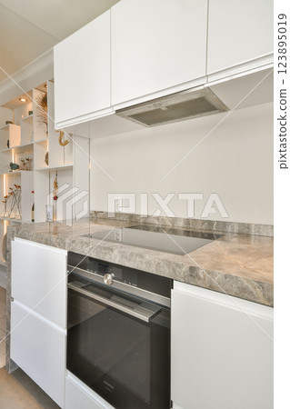 A sleek, contemporary kitchen featuring minimalist cabinetry, elegant countertops, and integrated appliances, promoting a chic, functional cooking space. 123895019