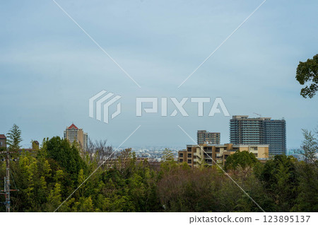 寶塚夜景 寶塚夜景 123895137