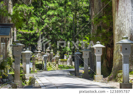 Early summer at Mount Koya: The sacred inner shrine approach 123895787
