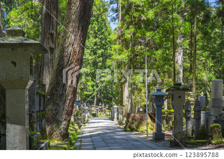 高野山初夏:神聖的內殿之路 高野山初夏:神聖的內殿之路 123895788