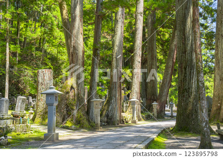 高野山初夏:神聖的內殿之路 高野山初夏:神聖的內殿之路 123895798