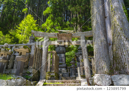 高野山初夏:神聖的內殿之路 高野山初夏:神聖的內殿之路 123895799