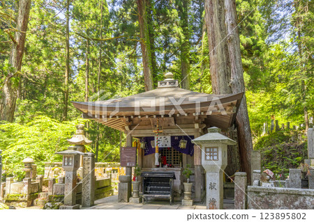 Early summer at Mount Koya: The sacred inner shrine approach, the sweaty Jizo Early summer at Mount Koya: The sacred inner shrine approach, the sweaty Jizo 123895802