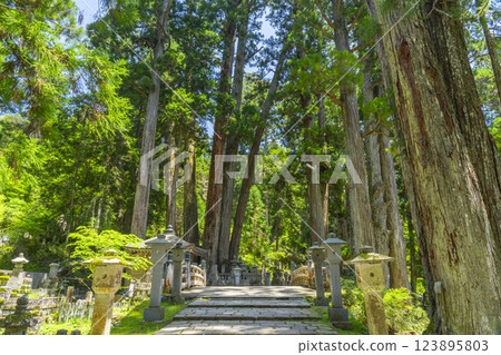 高野山初夏:參拜內宮的神聖的中之橋 高野山初夏:參拜內宮的神聖的中之橋 123895803