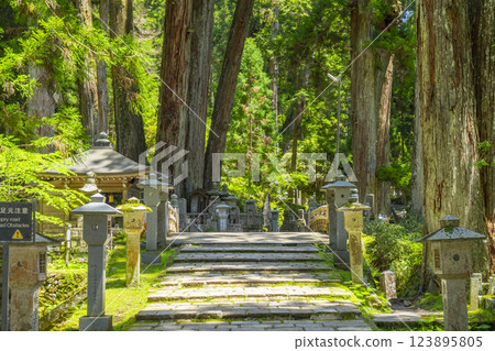 Early summer at Mount Koya: The sacred inner shrine approach Early summer at Mount Koya: The sacred inner shrine approach 123895805