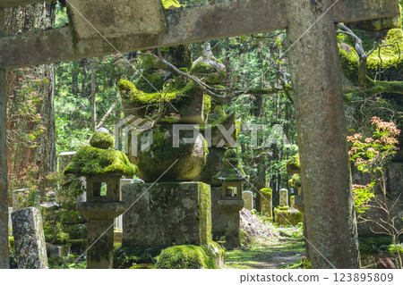 高野山初夏：神聖的內殿之路 123895809