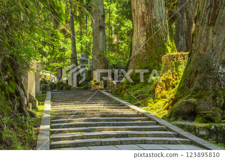 高野山初夏:神聖的內殿之路 高野山初夏:神聖的內殿之路 123895810