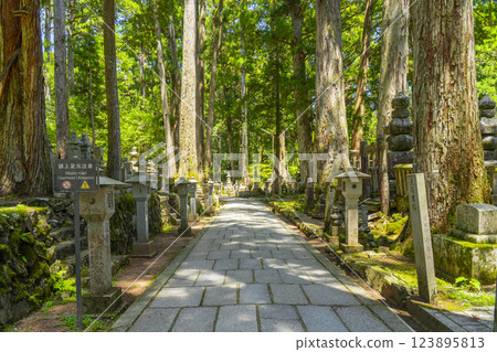 Early summer at Mount Koya: The sacred inner shrine approach 123895813