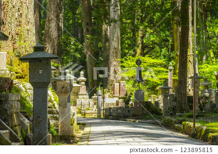 高野山初夏：神聖的內殿之路 123895815