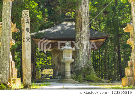 高野山初夏:神聖的內殿參道、密教堂 高野山初夏:神聖的內殿參道、密教堂 123895819